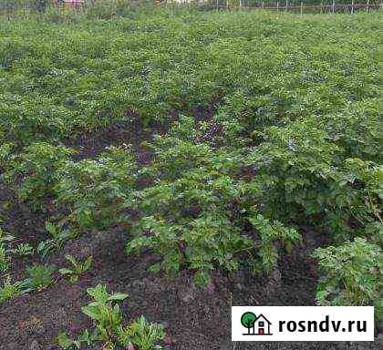 Участок СНТ, ДНП 10 сот. на продажу в Новокузнецке Новокузнецк