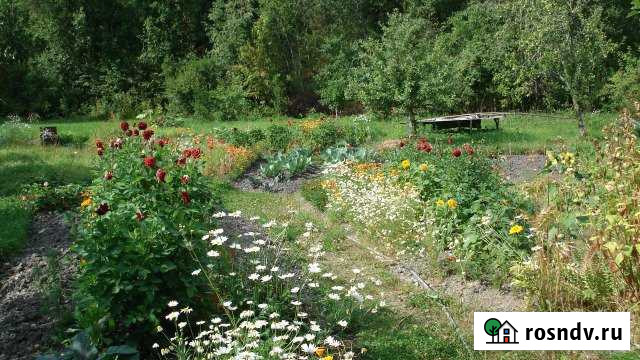 Дача 24 м² на участке 10 сот. на продажу в Питкяранте Питкяранта - изображение 1