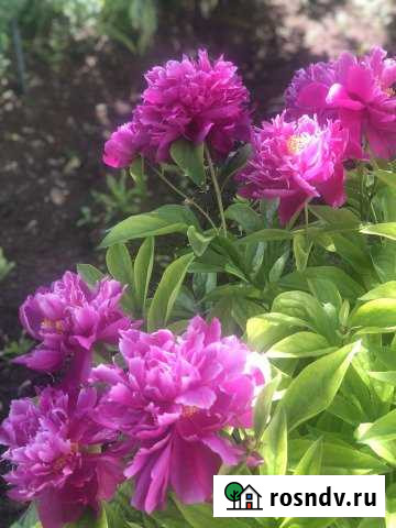 Дом 77 м² на участке 12 сот. на продажу в Октябрьском Республики Башкортостан Октябрьский - изображение 1