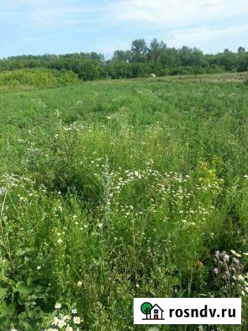 Участок ИЖС 25 сот. на продажу в Арске Арск - изображение 1