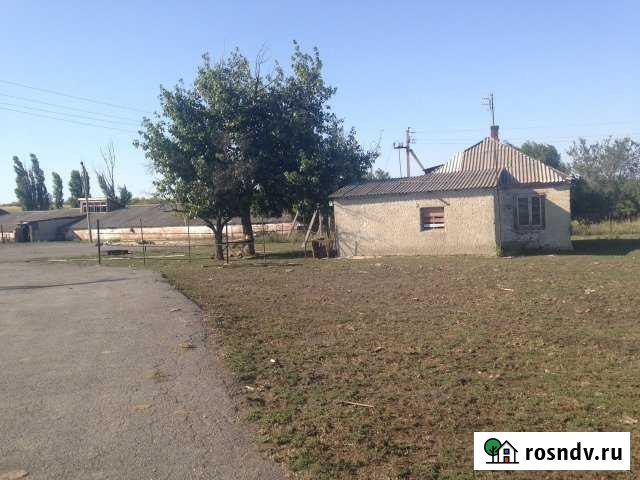 Ферма Гуково - изображение 1