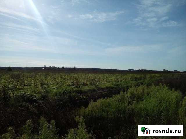 Участок ИЖС 12 сот. на продажу в Тосно Тосно - изображение 1