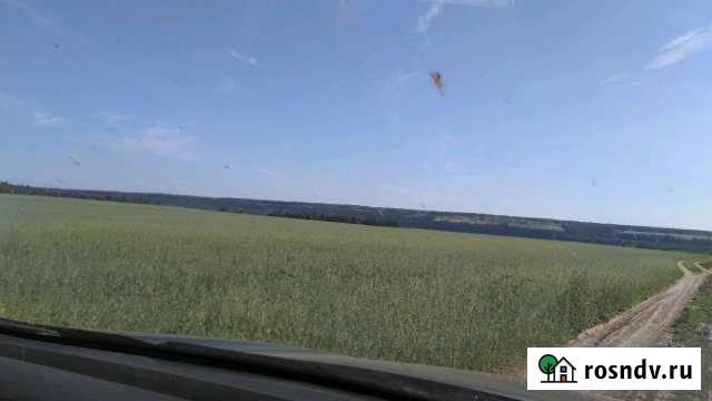 Участок ИЖС 8100 сот. на продажу в Сылве Сылва - изображение 1