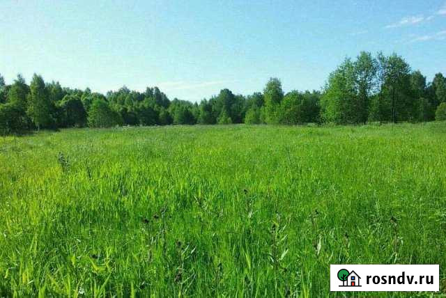 Участок ИЖС 40 сот. на продажу в Сычевке Сычевка - изображение 1