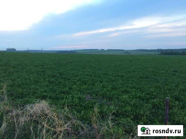 Участок СНТ, ДНП 15 сот. на продажу в Кугесях Кугеси - изображение 1