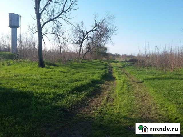 Участок СНТ, ДНП 25 сот. на продажу в Ольгинской Краснодарского края Ольгинская - изображение 1