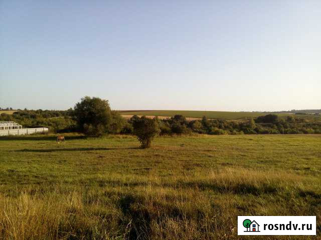 Участок ИЖС 20 сот. на продажу в Новомосковске Новомосковск - изображение 1