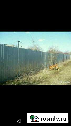 Дача 30 м² на участке 6 сот. на продажу в Саратове Саратов - изображение 1