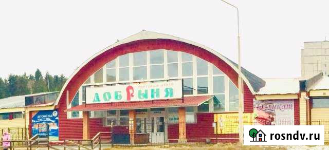 Аптека(аптечный пункт),50кв.м.,ТЦ Добрыня,ул.Ровио,11 Петрозаводск - изображение 1