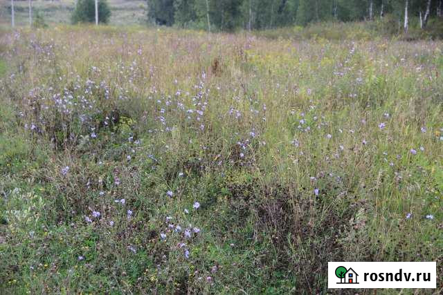 Участок ИЖС 13 сот. на продажу в Ревякино Ревякино - изображение 1