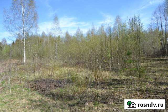 Участок СНТ, ДНП 7 сот. на продажу в Струнино Струнино - изображение 1