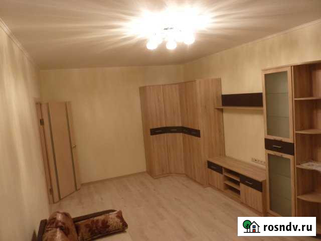 1-комнатная квартира, 45 м², 4/16 эт. в аренду на длительный срок в Королеве Королев - изображение 1