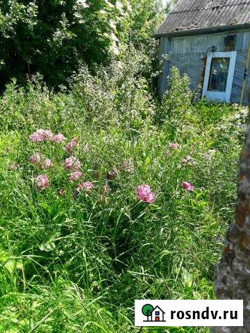 Дом 40 м² на участке 20 сот. на продажу в Орлово Орлово - изображение 1