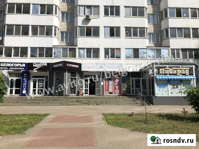 Торговое помещение, 58 кв.м. Белгород - изображение 1