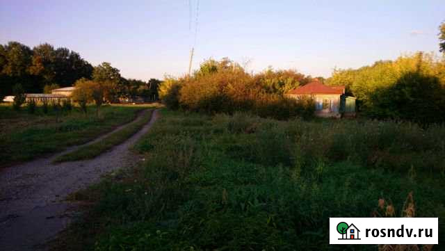 Дом 40 м² на участке 30 сот. на продажу в Воробьевке Воробьевка - изображение 1