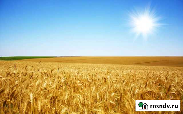 Участок СНТ, ДНП 5000 сот. в аренду в Красноперекопске Красноперекопск - изображение 1