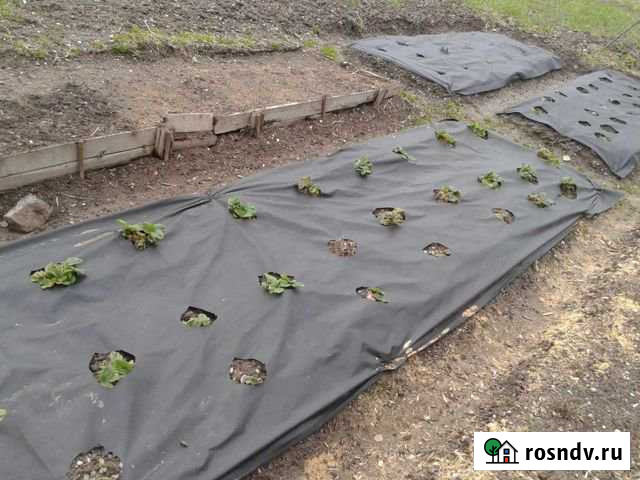 Участок СНТ, ДНП 6 сот. на продажу в Добрянке Добрянка - изображение 1