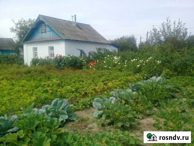 Дом 50 м² на участке 14 сот. на продажу в Комсомольске-на-Амуре Комсомольск-на-Амуре - изображение 1