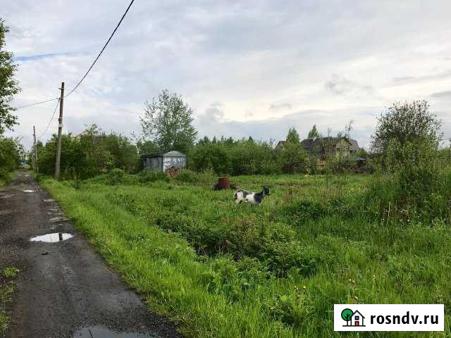 Участок СНТ, ДНП 8 сот. на продажу в Коммунаре Коммунар - изображение 1