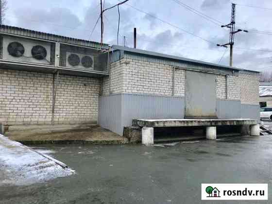 Холодильник под замораживание в центре, 50 кв.м. Барнаул