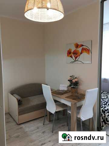 Квартира-студия, 32 м², 17/25 эт. в аренду посуточно в Нижнем Новгороде Нижний Новгород - изображение 1