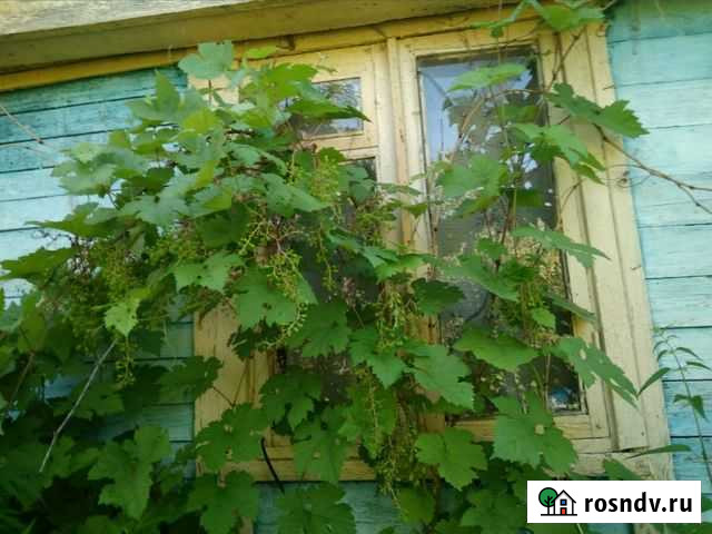 Участок ИЖС 5 сот. на продажу в Афонино Афонино - изображение 1