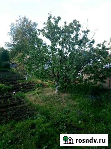 Участок СНТ, ДНП 6 сот. на продажу в Верхней Пышме Верхняя Пышма - изображение 1