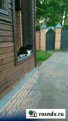 Дом 50 м² на участке 30 сот. в аренду посуточно в Калязине Калязин - изображение 1