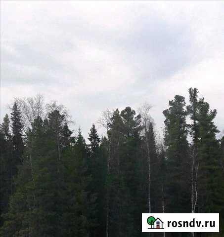 Участок СНТ, ДНП 10 сот. на продажу в Ханты-Мансийске Ханты-Мансийск - изображение 1