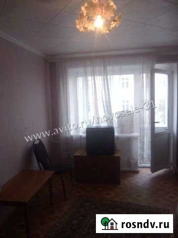 2-комнатная квартира, 44 м², 4/5 эт. в аренду на длительный срок в Старом Осколе Старый Оскол - изображение 1