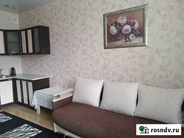 Квартира-студия, 28 м², 3/17 эт. на продажу в Сургуте Сургут - изображение 1
