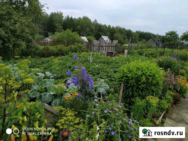 Дача 20 м² на участке 6 сот. на продажу в Иваново Иваново - изображение 1