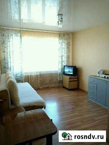 1-комнатная квартира, 24 м², 5/5 эт. в аренду посуточно в Артеме Артем - изображение 1