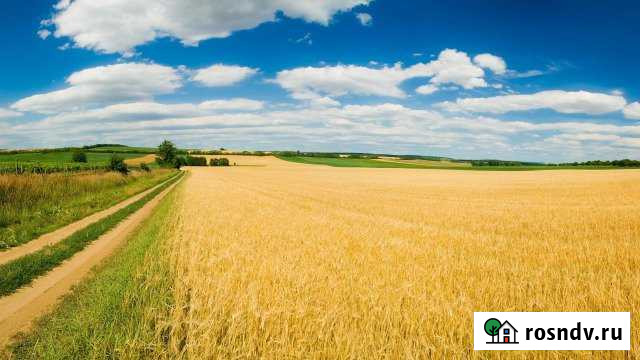 Участок СНТ, ДНП 1400 сот. на продажу в Кимовске Кимовск - изображение 1