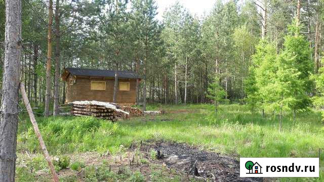 Дача 20 м² на участке 12 сот. на продажу в Монетном Монетный - изображение 1