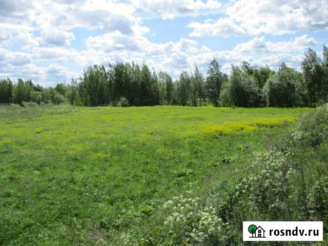 Участок промназначения 41 сот. на продажу в Санкт-Петербурге Санкт-Петербург - изображение 1