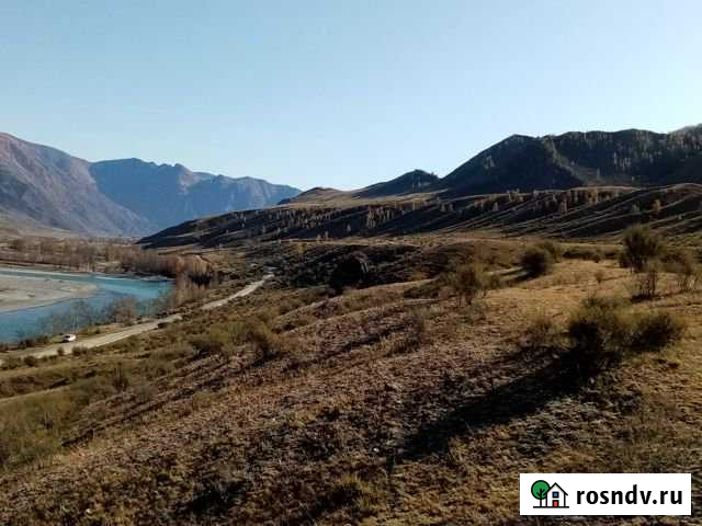 Участок СНТ, ДНП 1419 сот. на продажу в Онгудае Онгудай - изображение 1