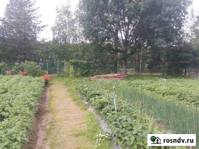 Дача 35 м² на участке 9 сот. на продажу в Петрозаводске Петрозаводск - изображение 1