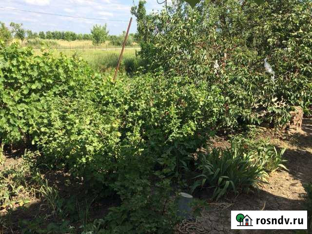 Дача 30 м² на участке 5.5 сот. на продажу в Яблоновском Яблоновский - изображение 1