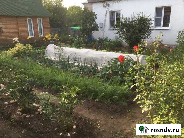 Дом 50.6 м² на участке 4 сот. на продажу на Острове Остров - изображение 1