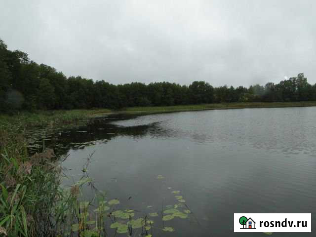 Участок СНТ, ДНП 120000 сот. на продажу в Красномайском Красномайский - изображение 1