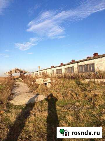 Ферма, коровник, курятник Энем - изображение 1