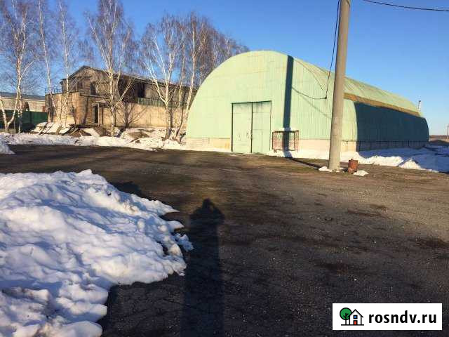 Сдам в аренду помещения Клинцы - изображение 1