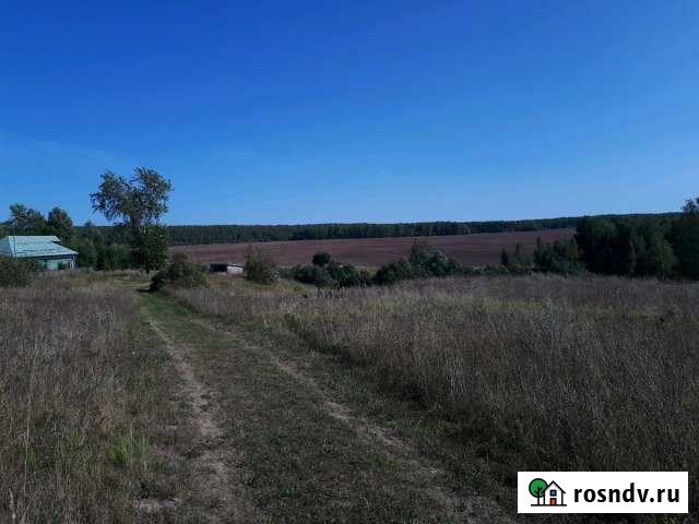 Участок ИЖС 40 сот. на продажу в Лысково Лысково - изображение 1