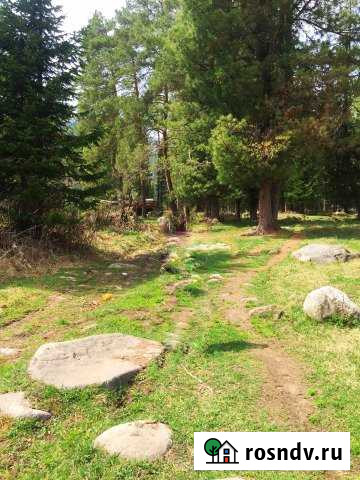 Участок ИЖС 25 сот. на продажу в Турочаке Турочак - изображение 1