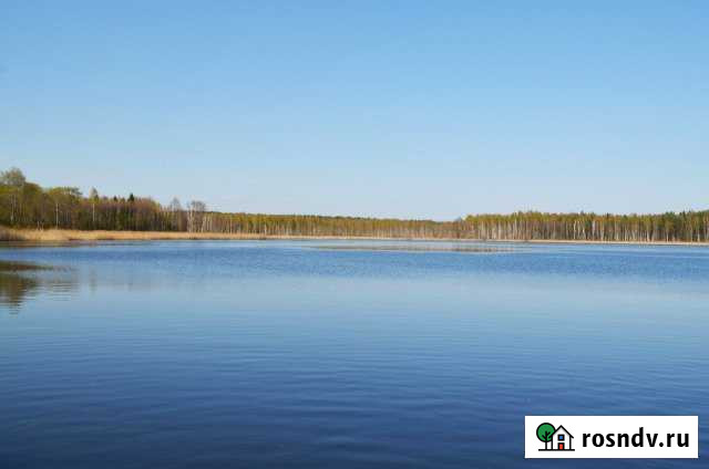 Дом 20 м² на участке 15 сот. на продажу в Новоржеве Новоржев - изображение 1