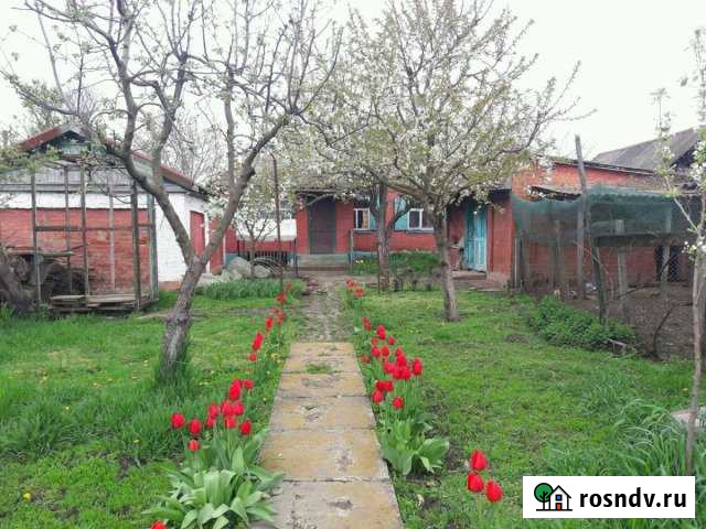 Дом 80 м² на участке 35 сот. на продажу в Ивановской Ивановская - изображение 1