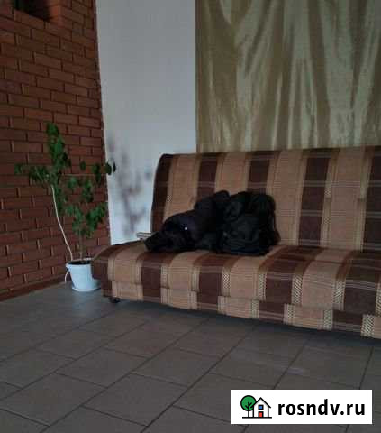 Квартира-студия, 24 м², 1/3 эт. в аренду на длительный срок в Пироговском Пироговский - изображение 1