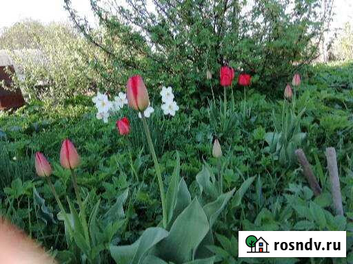 Участок СНТ, ДНП 6 сот. на продажу в Костроме Кострома - изображение 1