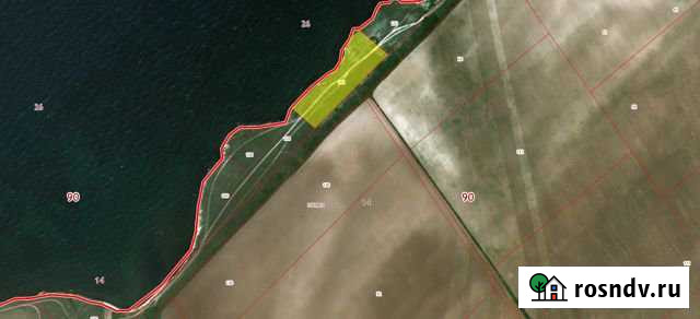 Участок СНТ, ДНП 150 сот. на продажу в Черноморском Республики Крым Черноморское - изображение 1